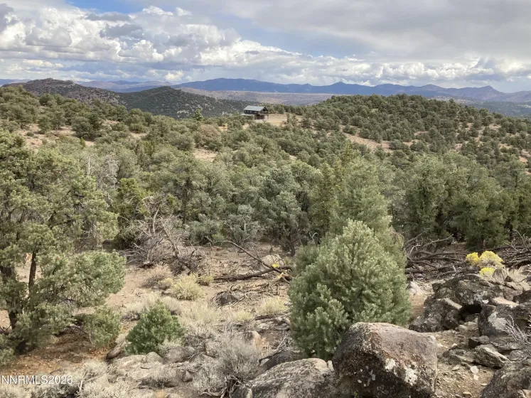 1330 Yellow Jacket, Reno, Nevada 89521, ,Land,Residential,Yellow Jacket,260005185