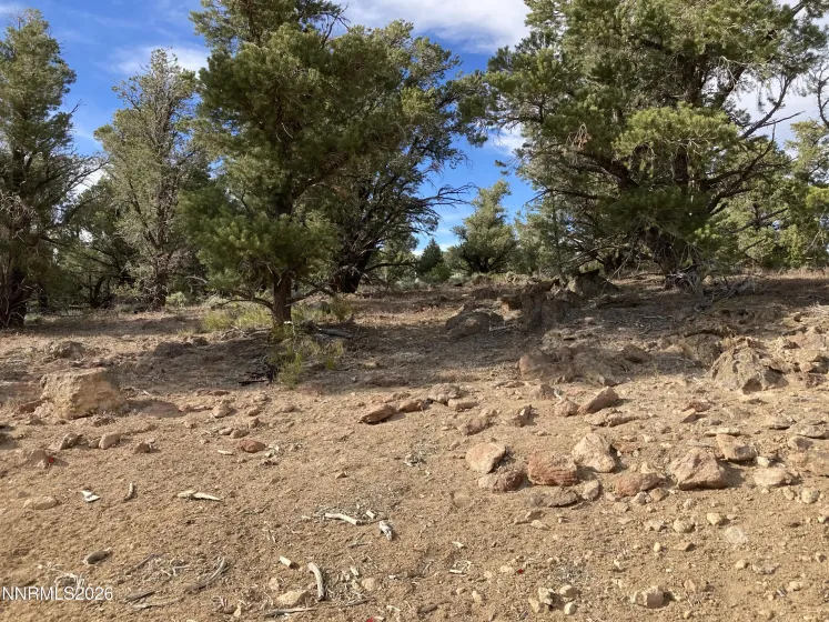 1330 Yellow Jacket, Reno, Nevada 89521, ,Land,Residential,Yellow Jacket,260005185