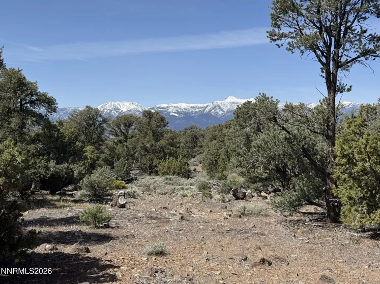 1330 Yellow Jacket, Reno, Nevada 89521, ,Land,Residential,Yellow Jacket,260005185