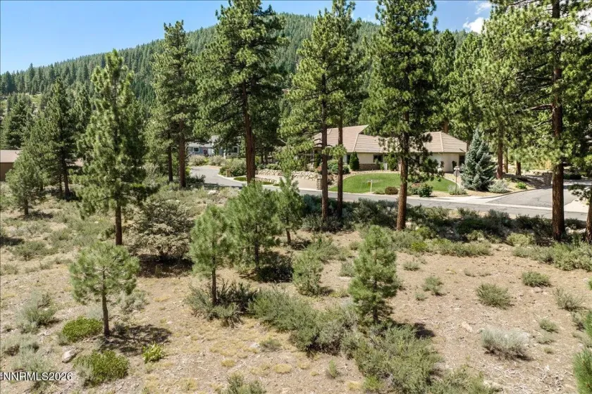 279 Jeffrey Pine, Reno, Nevada 89511, ,Land,Residential,Jeffrey Pine,260005201