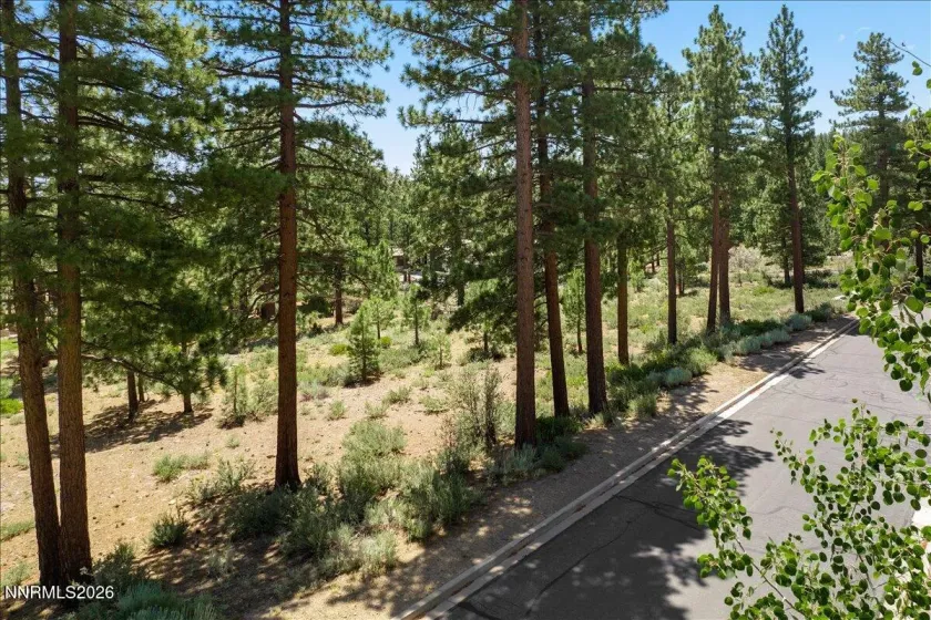 279 Jeffrey Pine, Reno, Nevada 89511, ,Land,Residential,Jeffrey Pine,260005201