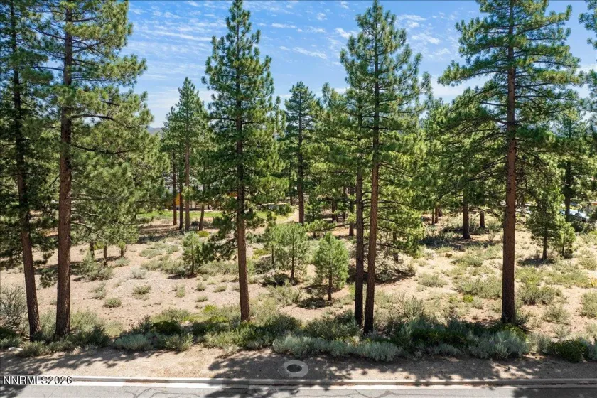 279 Jeffrey Pine, Reno, Nevada 89511, ,Land,Residential,Jeffrey Pine,260005201