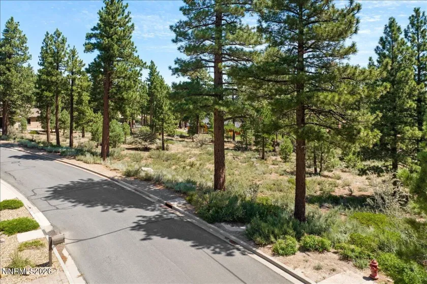 279 Jeffrey Pine, Reno, Nevada 89511, ,Land,Residential,Jeffrey Pine,260005201