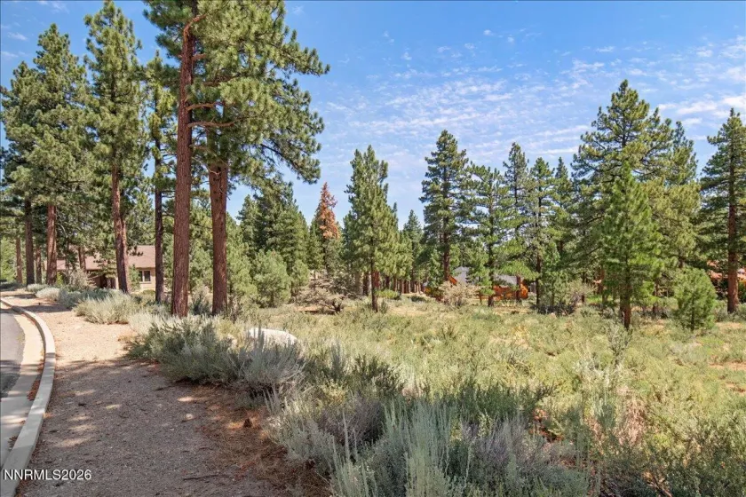 279 Jeffrey Pine, Reno, Nevada 89511, ,Land,Residential,Jeffrey Pine,260005201