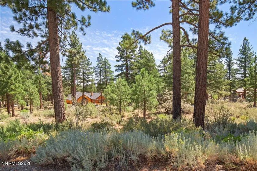 279 Jeffrey Pine, Reno, Nevada 89511, ,Land,Residential,Jeffrey Pine,260005201