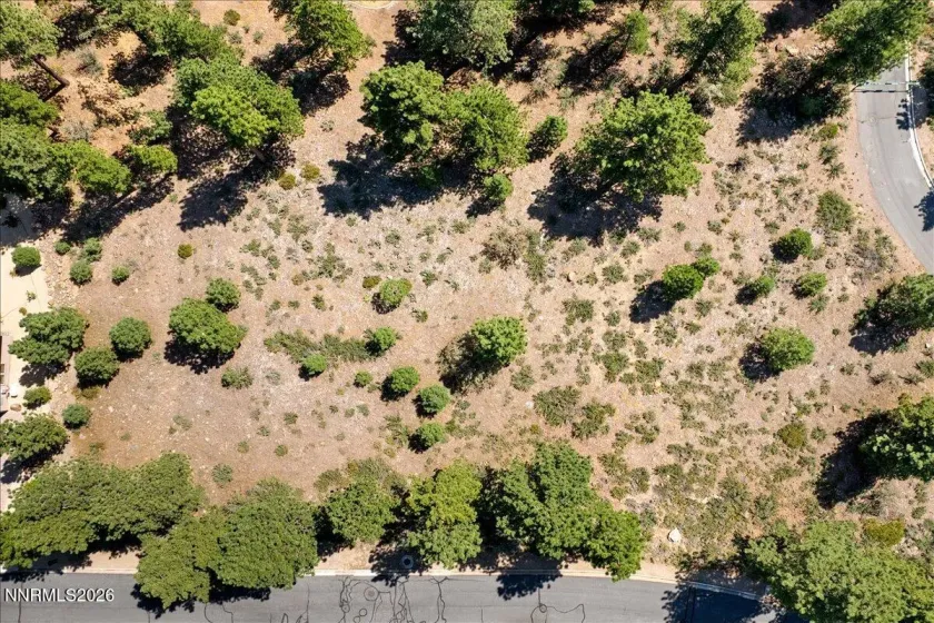 279 Jeffrey Pine, Reno, Nevada 89511, ,Land,Residential,Jeffrey Pine,260005201