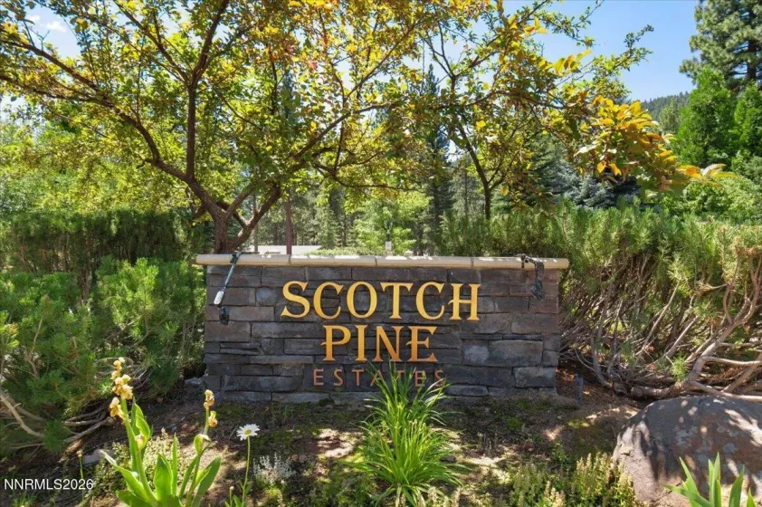 279 Jeffrey Pine, Reno, Nevada 89511, ,Land,Residential,Jeffrey Pine,260005201