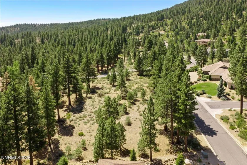 279 Jeffrey Pine, Reno, Nevada 89511, ,Land,Residential,Jeffrey Pine,260005201