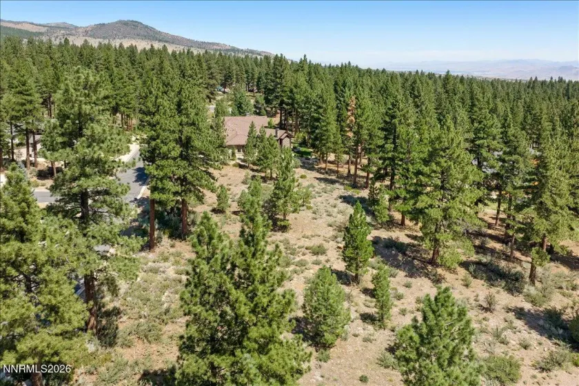 279 Jeffrey Pine, Reno, Nevada 89511, ,Land,Residential,Jeffrey Pine,260005201