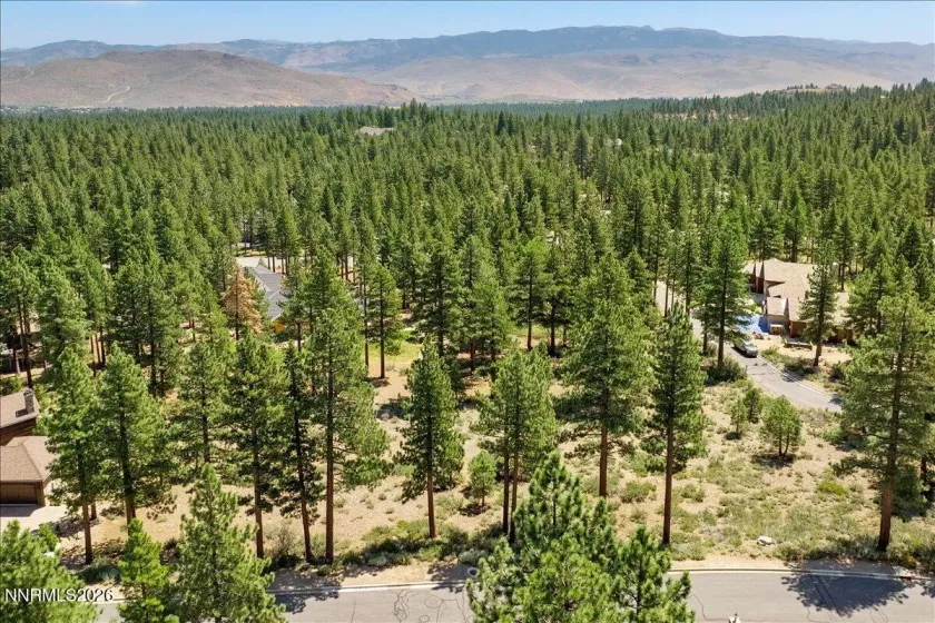 279 Jeffrey Pine, Reno, Nevada 89511, ,Land,Residential,Jeffrey Pine,260005201
