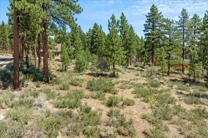 279 Jeffrey Pine, Reno, Nevada 89511, ,Land,Residential,Jeffrey Pine,260005201