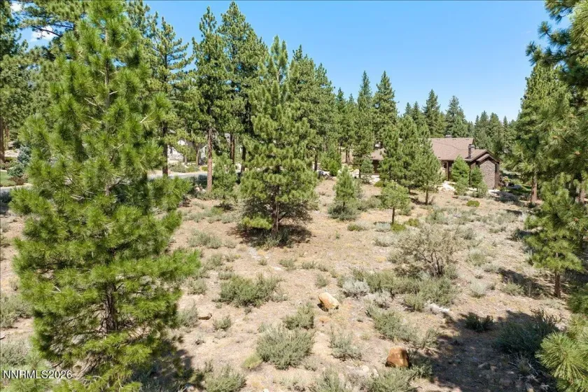 279 Jeffrey Pine, Reno, Nevada 89511, ,Land,Residential,Jeffrey Pine,260005201