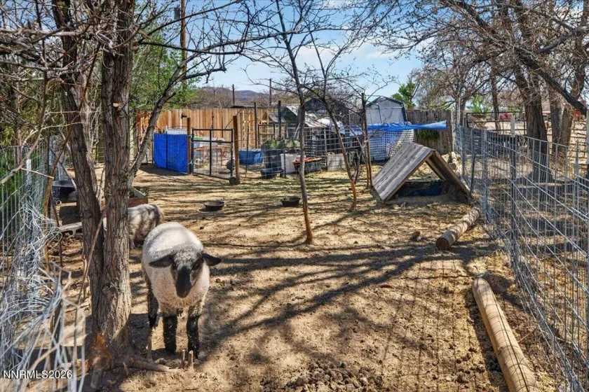 270 Vine, Fernley, Nevada 89408, 3 Bedrooms Bedrooms, ,1 BathroomBathrooms,Residential,Residential,Vine,260005200