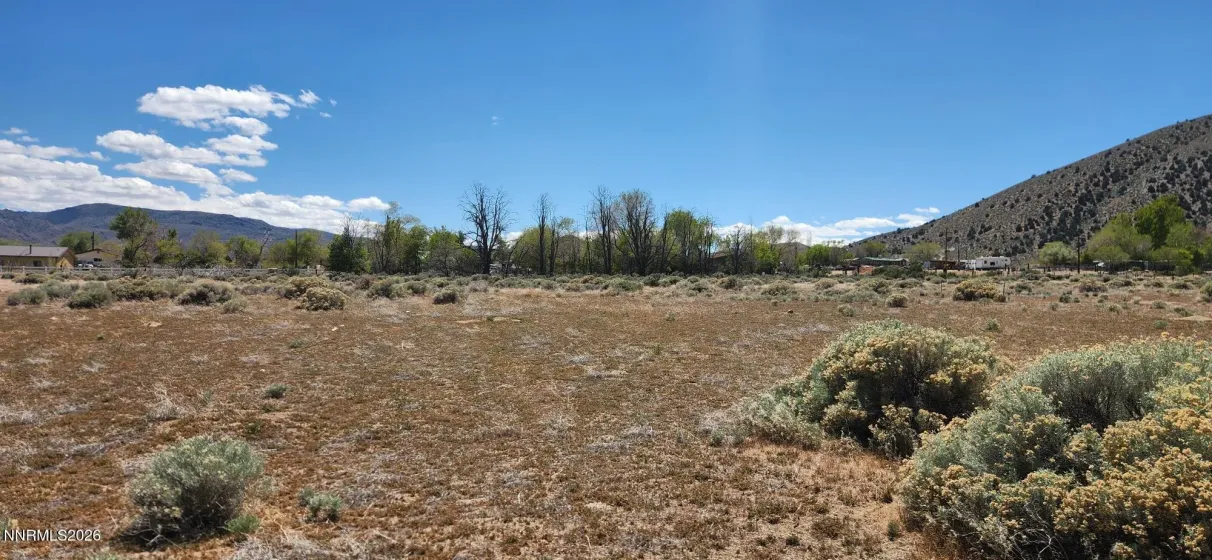 221 Angelina, Smith Valley, Nevada 89444, ,Land,Residential,Angelina,260005228