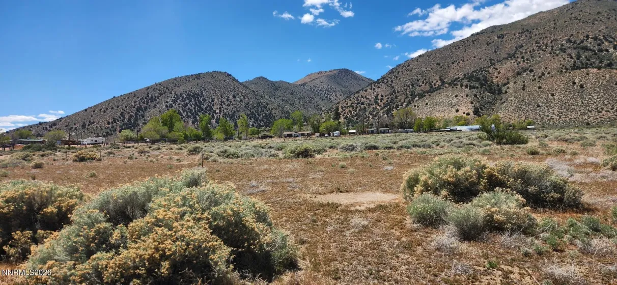 221 Angelina, Smith Valley, Nevada 89444, ,Land,Residential,Angelina,260005228