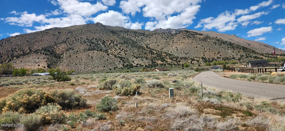 221 Angelina, Smith Valley, Nevada 89444, ,Land,Residential,Angelina,260005228
