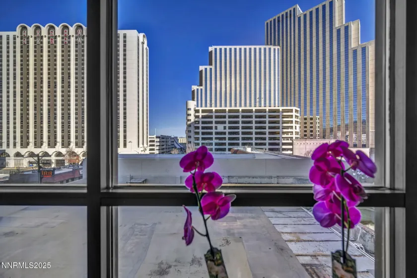 450 Arlington, Reno, Nevada 89503, 1 Bedroom Bedrooms, ,1 BathroomBathrooms,Residential,Residential,Arlington,250059021