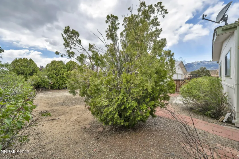 917 Loyola, Carson City, Nevada 89705, 3 Bedrooms Bedrooms, ,2 BathroomsBathrooms,Residential,Residential,Loyola,260005256