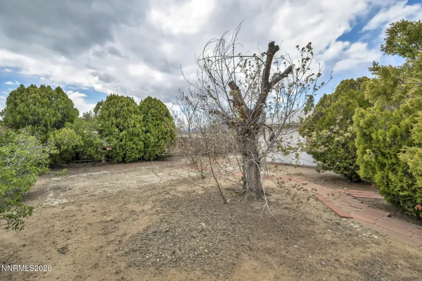 917 Loyola, Carson City, Nevada 89705, 3 Bedrooms Bedrooms, ,2 BathroomsBathrooms,Residential,Residential,Loyola,260005256
