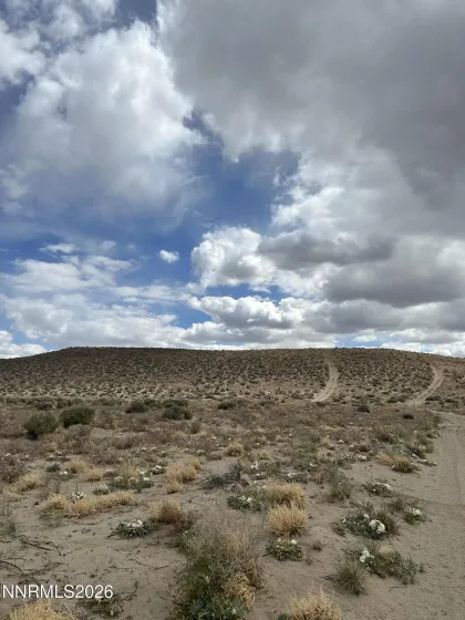 015-591-08 Holly, Silver Springs, Nevada 89429, ,Land,Residential,Holly,260005257