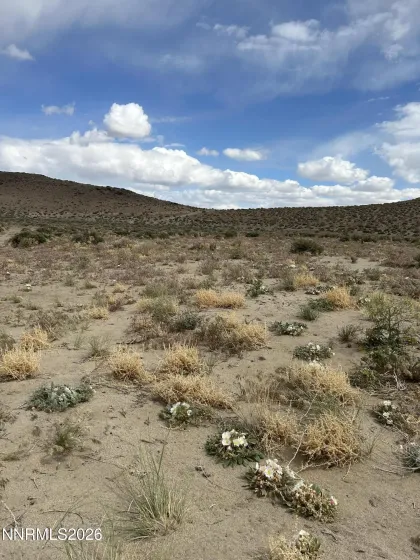 015-591-08 Holly, Silver Springs, Nevada 89429, ,Land,Residential,Holly,260005257