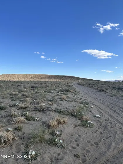 View of the west side of the property on Lemon.