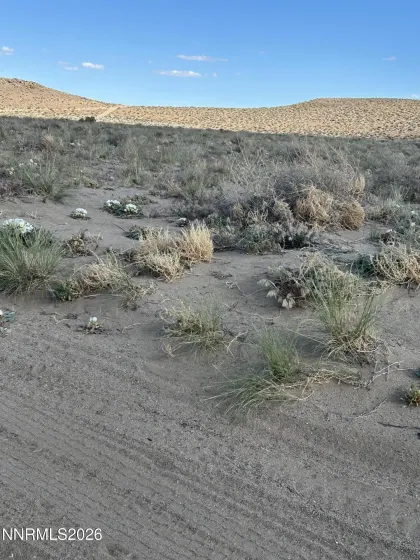 Holly Ave view of property.