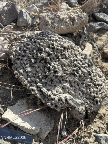 petrified corral? On the hillside.