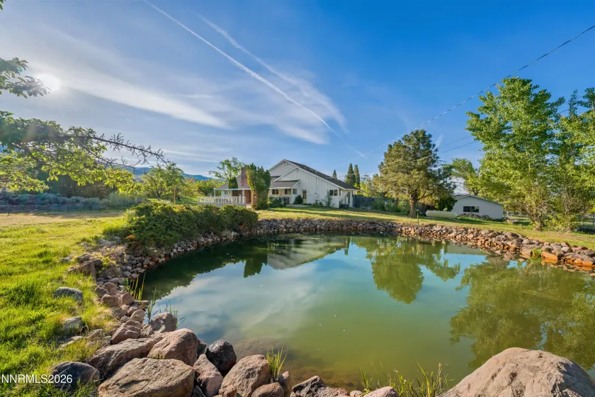 Pond