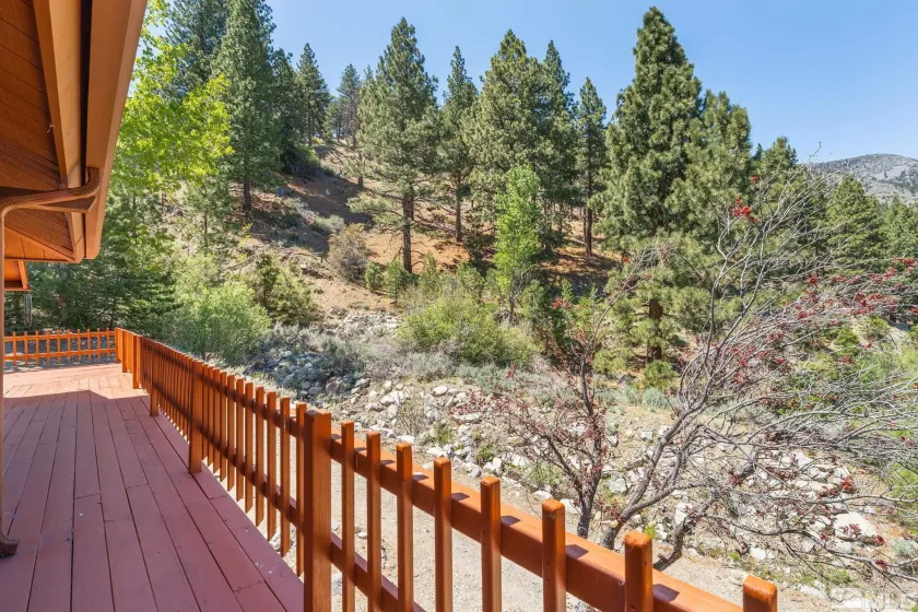 2414 Centennial, Genoa, Nevada 89411, 3 Bedrooms Bedrooms, ,3 BathroomsBathrooms,Residential,Residential,Centennial,260005289