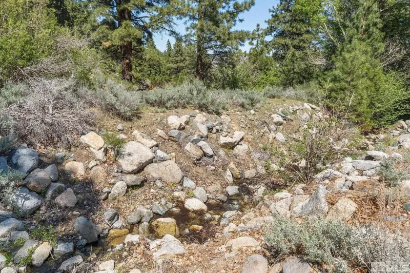 2414 Centennial, Genoa, Nevada 89411, 3 Bedrooms Bedrooms, ,3 BathroomsBathrooms,Residential,Residential,Centennial,260005289