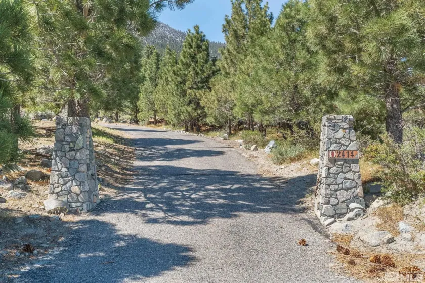 2414 Centennial, Genoa, Nevada 89411, 3 Bedrooms Bedrooms, ,3 BathroomsBathrooms,Residential,Residential,Centennial,260005289