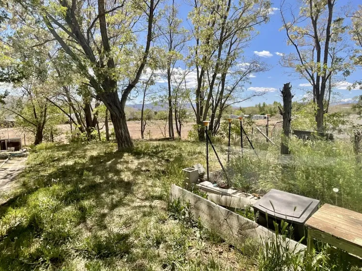 6560 Pyramid Hwy #38, Sparks, Nevada 89436, 3 Bedrooms Bedrooms, 12 Rooms Rooms,2 BathroomsBathrooms,Manufactured,Residential,Pyramid,260005352