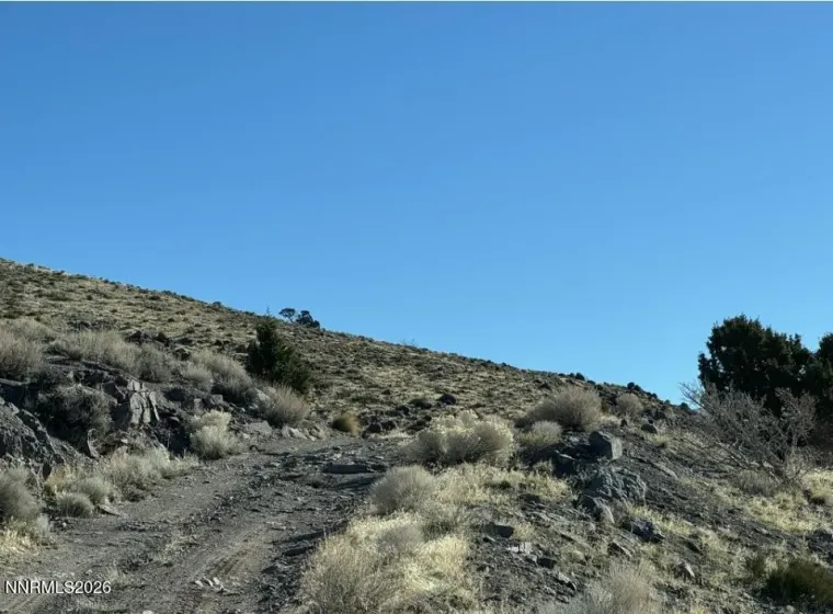 3355 Cougar, Reno, Nevada 89510, ,Land,Residential,Cougar,260005355