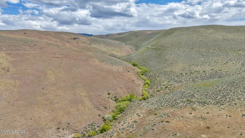 00 Willbuck, Reno, Nevada 89521, ,Land,Residential,Willbuck,260005368