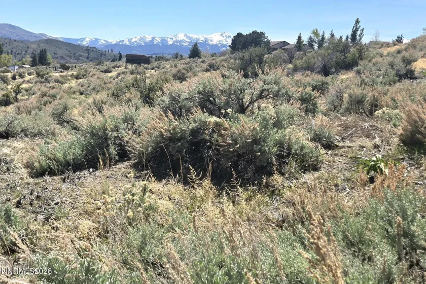 355 Shakehill, Markleeville, California 96120, ,Land,Residential,Shakehill,260005372
