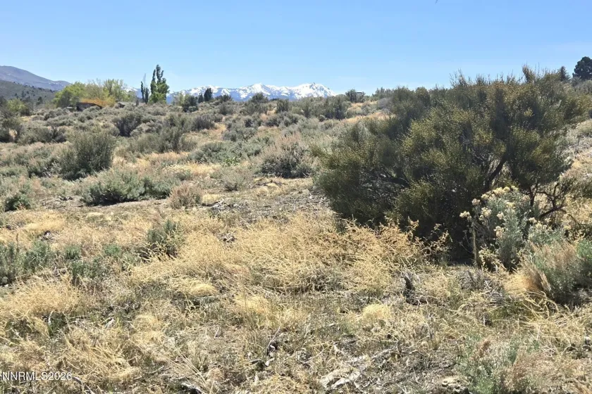 355 Shakehill, Markleeville, California 96120, ,Land,Residential,Shakehill,260005372