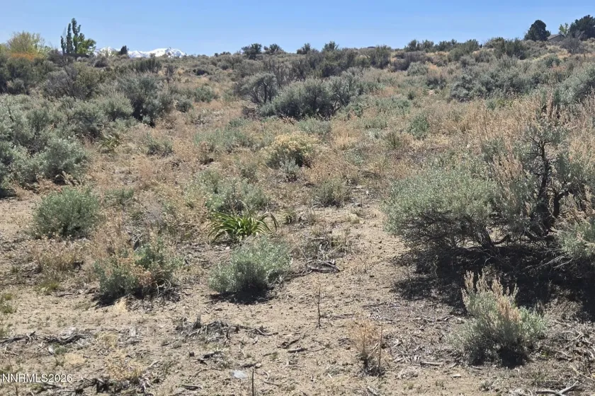 355 Shakehill, Markleeville, California 96120, ,Land,Residential,Shakehill,260005372