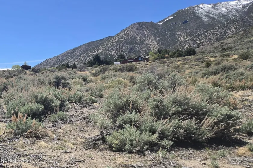 355 Shakehill, Markleeville, California 96120, ,Land,Residential,Shakehill,260005372