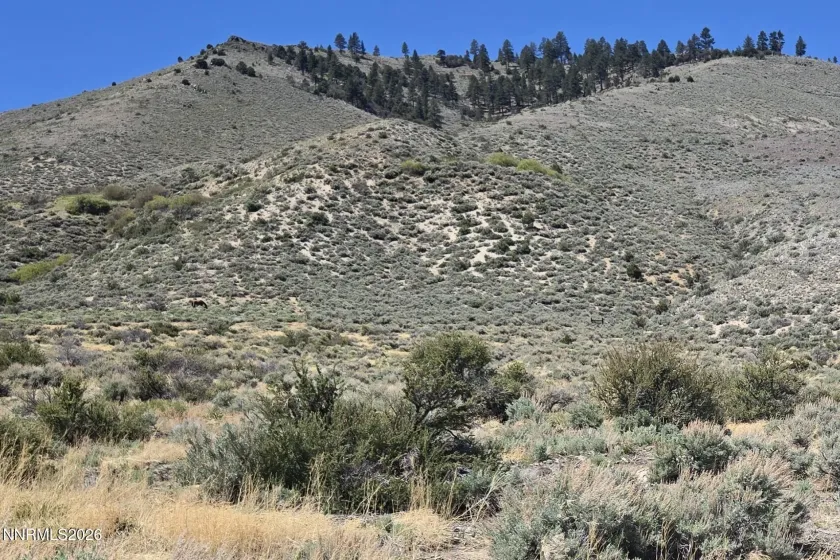 355 Shakehill, Markleeville, California 96120, ,Land,Residential,Shakehill,260005372
