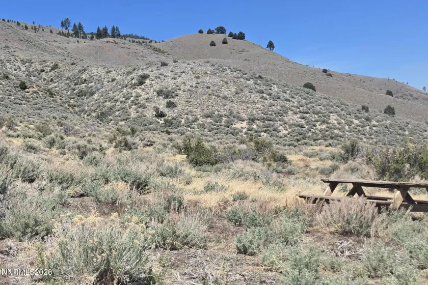 355 Shakehill, Markleeville, California 96120, ,Land,Residential,Shakehill,260005372