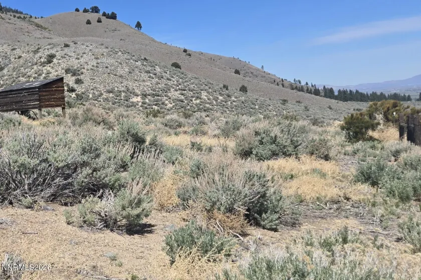 355 Shakehill, Markleeville, California 96120, ,Land,Residential,Shakehill,260005372
