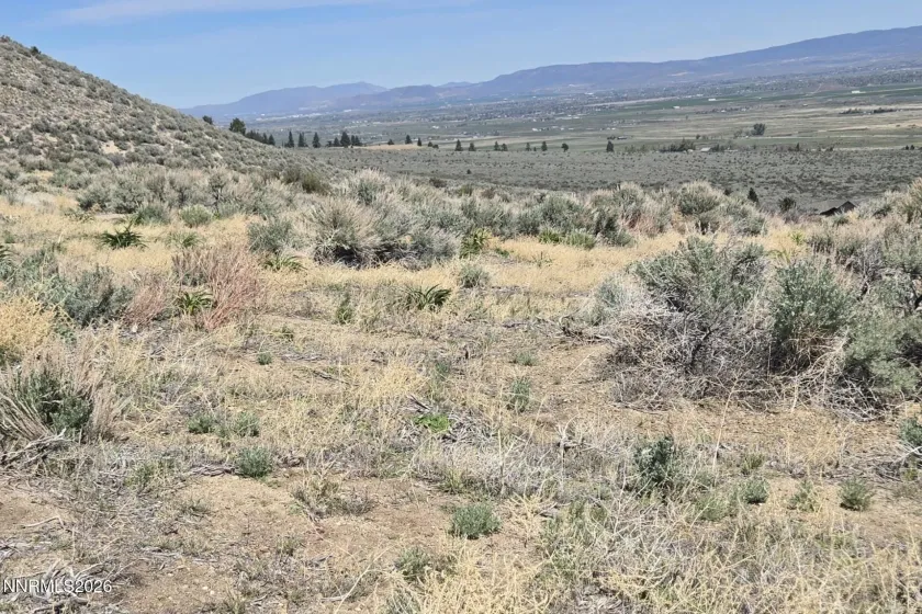 355 Shakehill, Markleeville, California 96120, ,Land,Residential,Shakehill,260005372