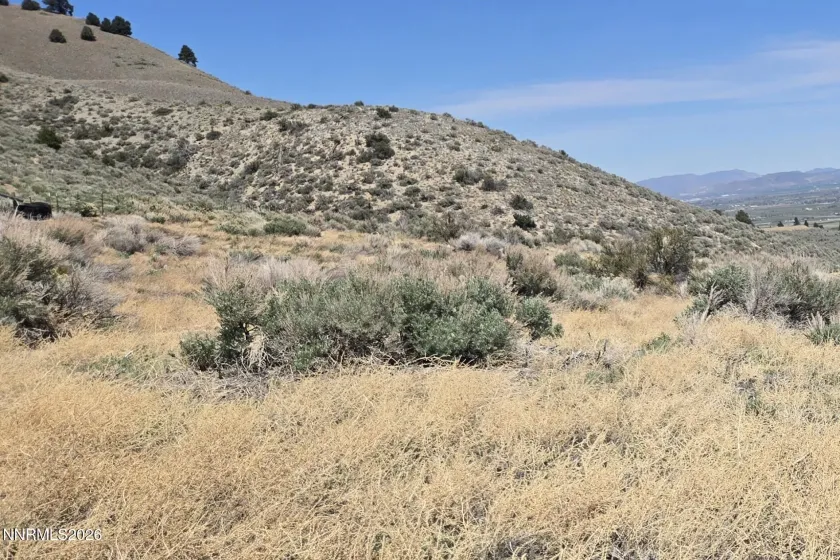 355 Shakehill, Markleeville, California 96120, ,Land,Residential,Shakehill,260005372
