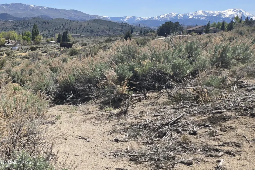 355 Shakehill, Markleeville, California 96120, ,Land,Residential,Shakehill,260005372