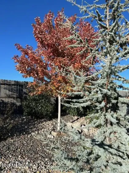 108 Alamosa, Dayton, Nevada 89403, 3 Bedrooms Bedrooms, ,2 BathroomsBathrooms,Residential,Residential,Alamosa,260005395