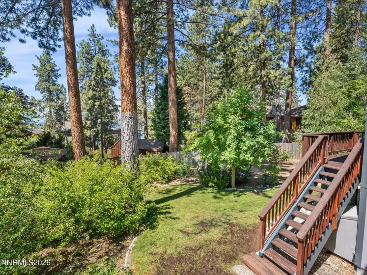 Back yard