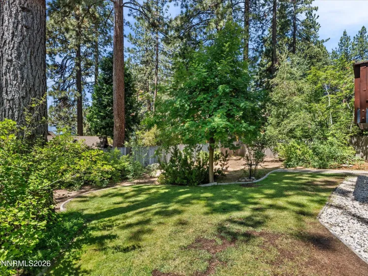 Back yard-Fenced