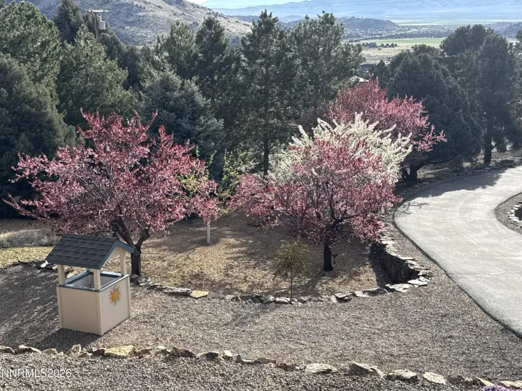 1530 Moss, Gardnerville, Nevada 89410, 3 Bedrooms Bedrooms, ,3 BathroomsBathrooms,Residential,Residential,Moss,260005477