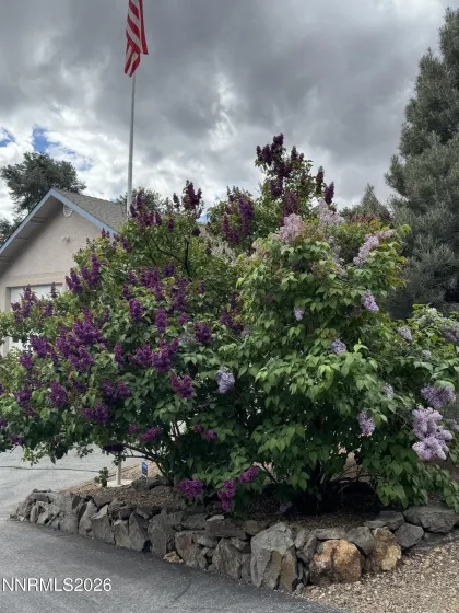 1530 Moss, Gardnerville, Nevada 89410, 3 Bedrooms Bedrooms, ,3 BathroomsBathrooms,Residential,Residential,Moss,260005477